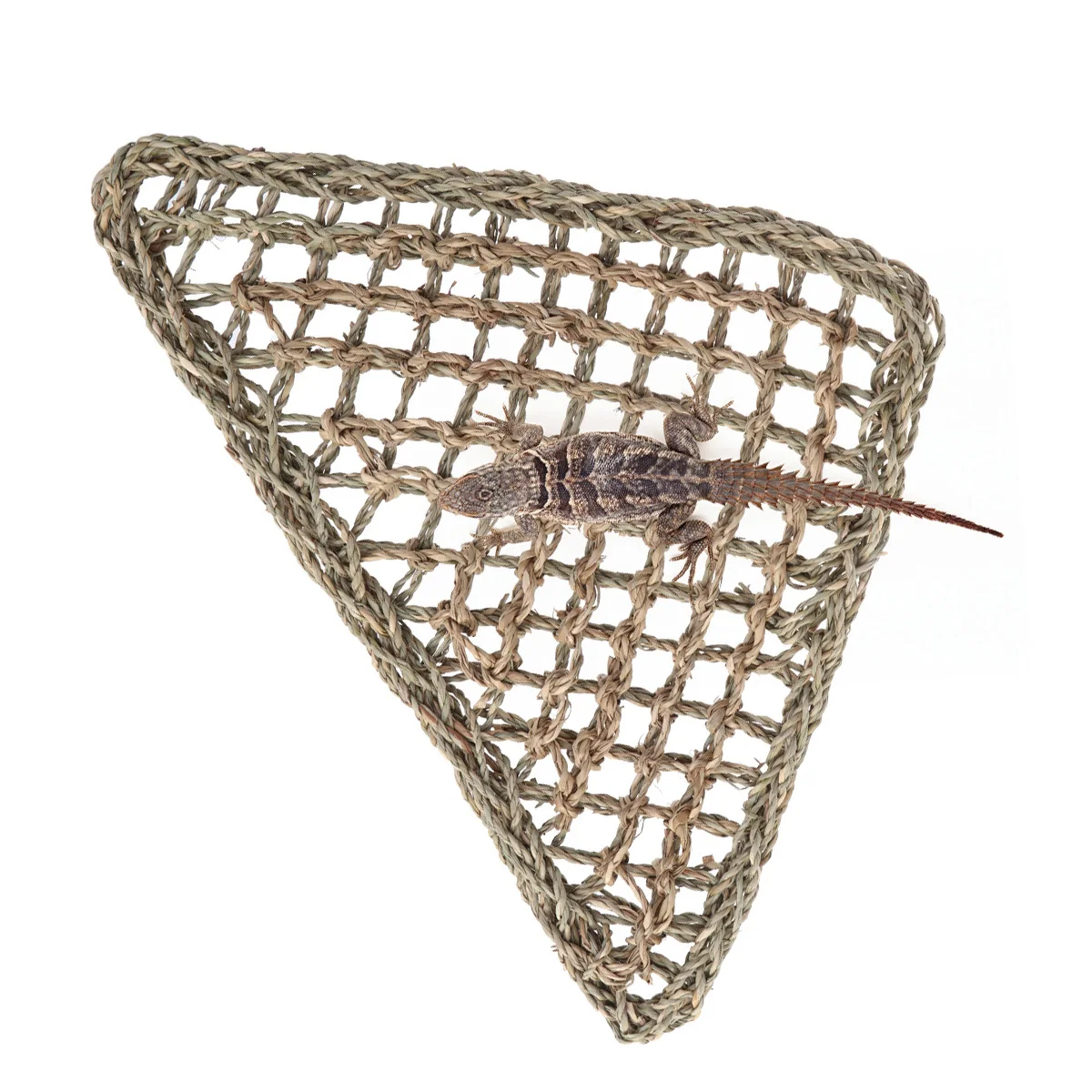 

Natural Grass Fibers Lizard Hammock Bed for Small Animals Elevated Reptile Resting Place Lizard