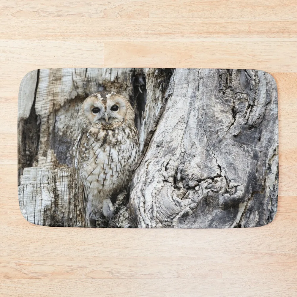 

Owl Bath Mat Non-Slip Bathroom Bath Carpet Bathroom Gadgets Sleeping Room Rugs Mat