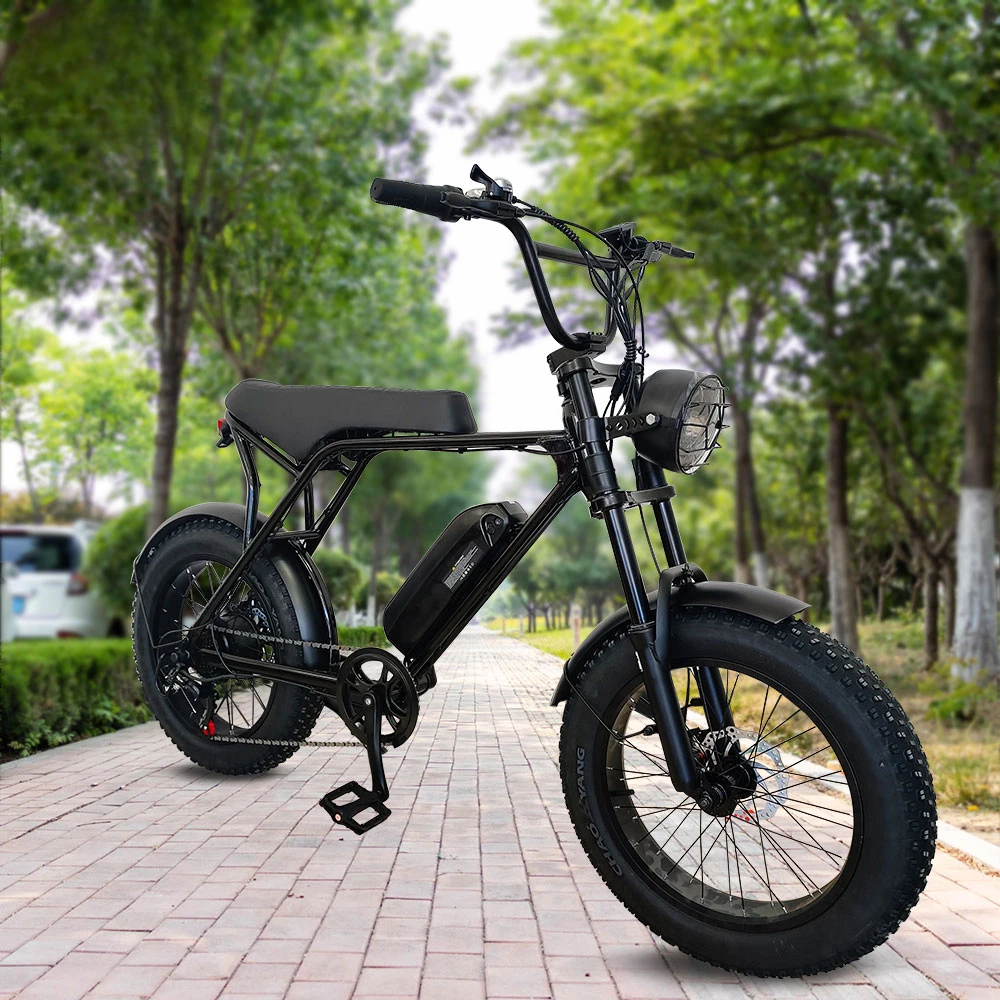 Ready To Ship 48V 500W Electric Dirt Bike Ebike Mountain Electric Bicycle Motorcycle For Sale