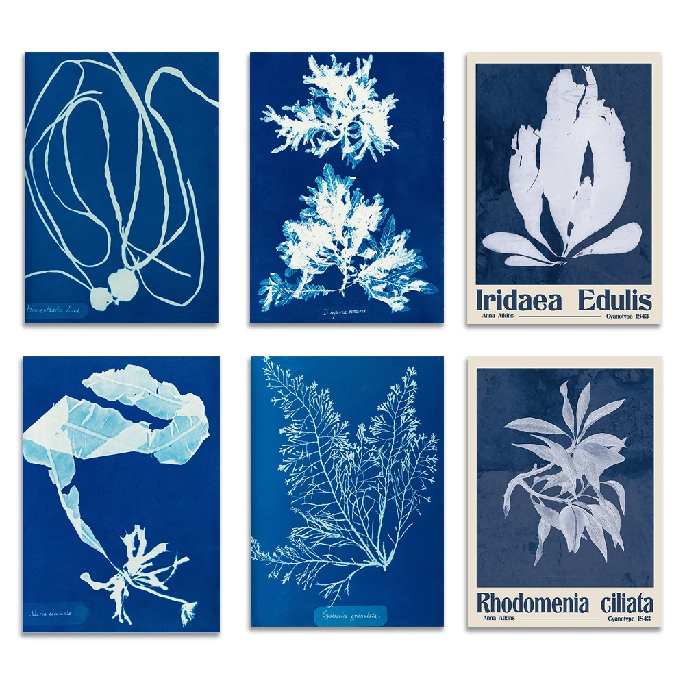 

Phycocyanin Type, Anna Atkins Print, Vintage Photographic Botanical Art for Nature Lovers, Victorian Latin Blue Botanical Poster