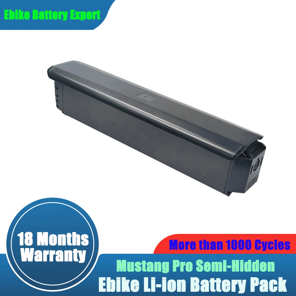 Removable 48V 17.5Ah 840Wh Lithium Battery Pack for Electric Comfort Bike Replacement Part Inner Tube Vonax USA EF-01 750W