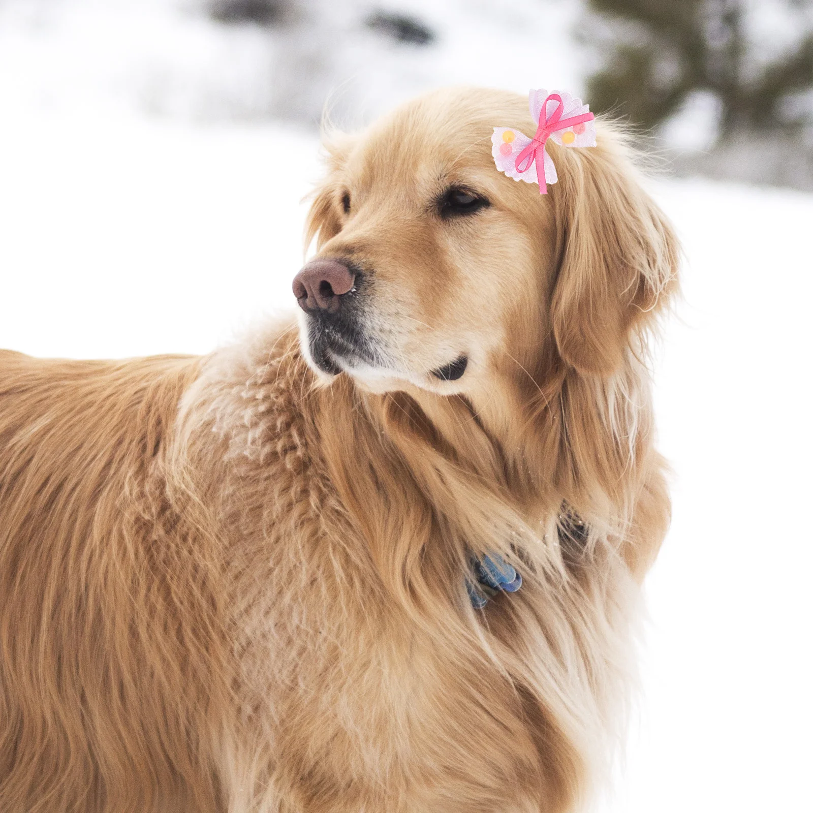 

50Pcs Decorative Dog Hair Bowknot Wear-Resistant Stylish Grooming Bows for Festivals Parties Puppy Supplies Adorable Pet Hair