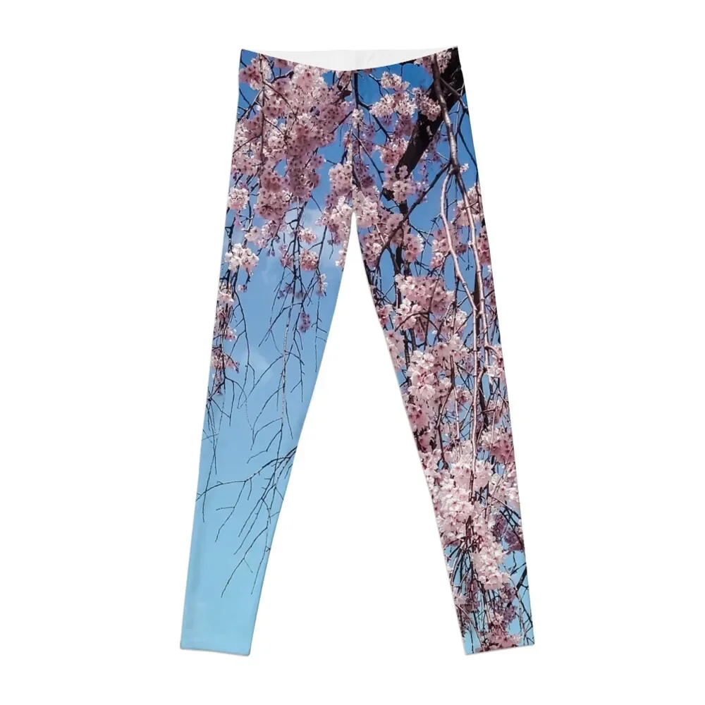 

Cherry Blossoms in Seoul Leggings exercise clothing for Training pants sportswear woman gym 2025 Womens Leggings