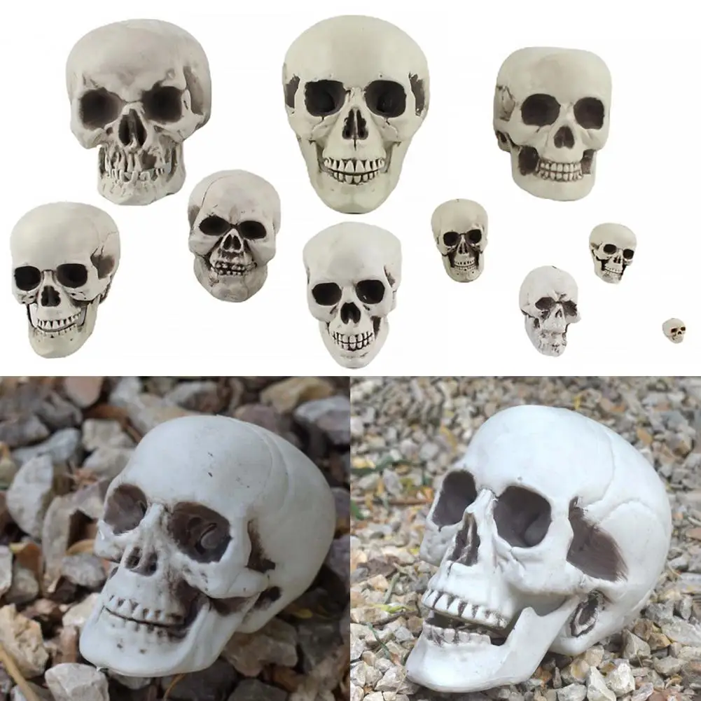 Fashion Simulation Eco-friendly Realistic Skull Head Collectible Skeleton Decoration Figurine Skull Sculpture Delicate