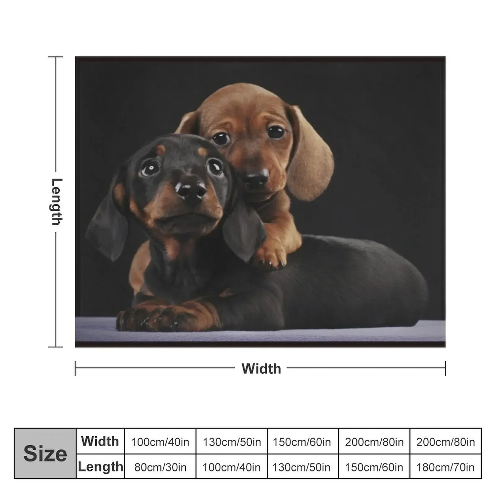 Dachshund Dog portrait photo pupies Throw Blanket warm winter halloween decorative Blankets For Bed Blankets