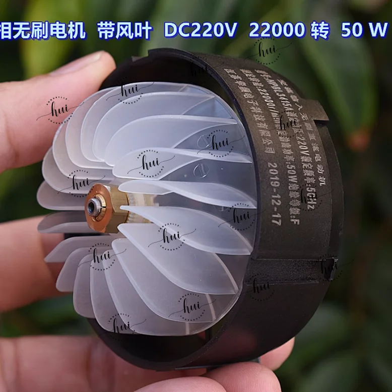 50W DC 220V High Voltage Brushless Hair Dryer Motor Ball Bearing Motor with Drive