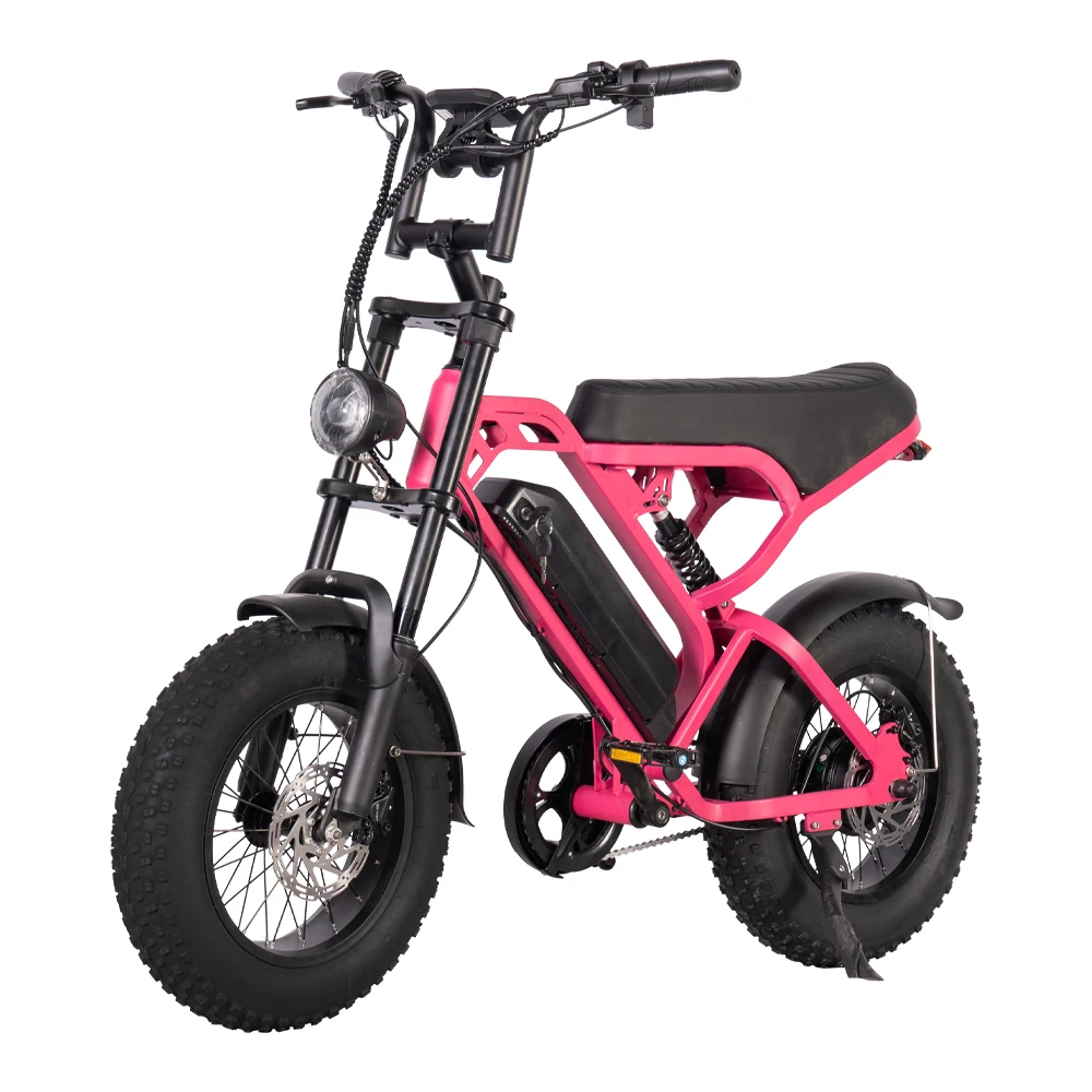 V20  Mini Electric Bike 250W 36V 10.4AH Electric Bicycle EU Standard Fat Bike For Kid Gifts