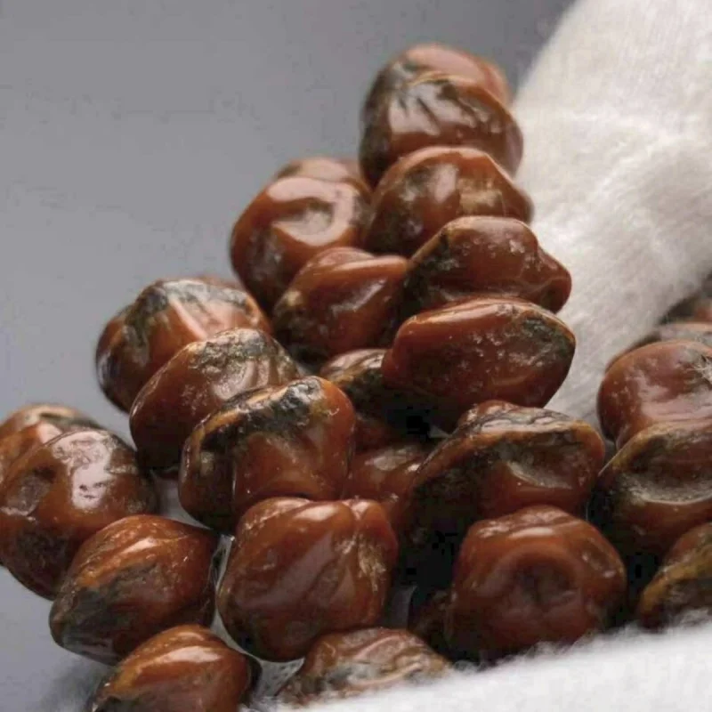 Tibet Zhenbaixiang Seed Hot Zhenhong Bud Horizontal Beating Pile Buddha Beads Bracelet Red Skin Butter Meat Hi