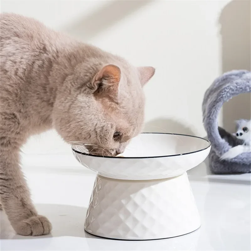 Cat Bowls Ceramic Extra Wide Raised Pet Food Bowl Dog Feeding Elevated Pets Feeder Cat Slow Feeder Cats Accessories Ramen Bowl
