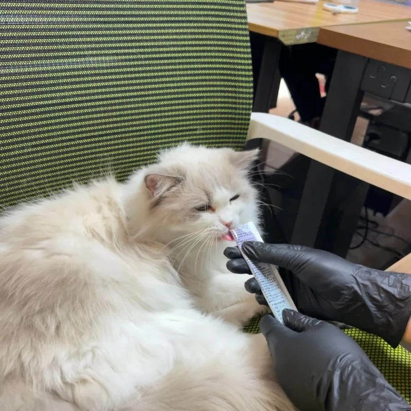 Thumbnail 2 - #6 Compare Pet Nail Tools Before You Buy