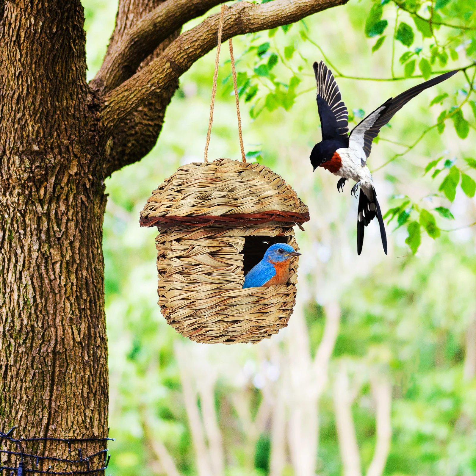 

3pcs Bird Nest Parrot House Straw Hand Woven Hanging Hummingbird Nest Bird Breeding House For Cage Sturdy Gnaw Resistant Easy