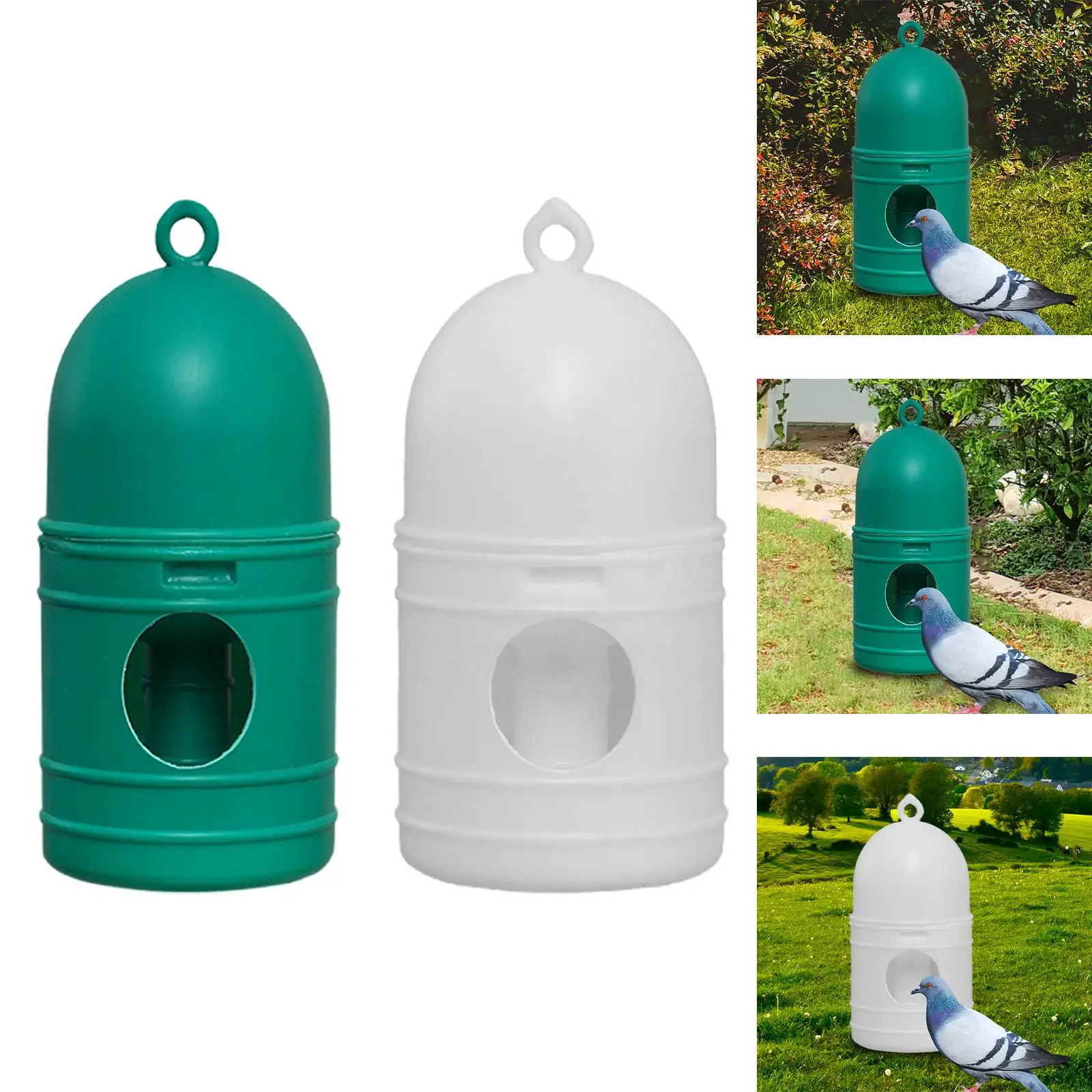 Pigeon Drinker Parr…