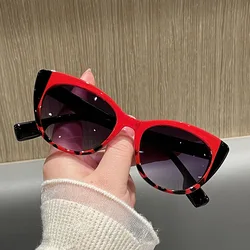 Fashion Big Frame Sexy Ladies Sunglasses Women For Female 2025 Luxury Brand Designer Sun Glasses Vintage Punk Double Color Shade