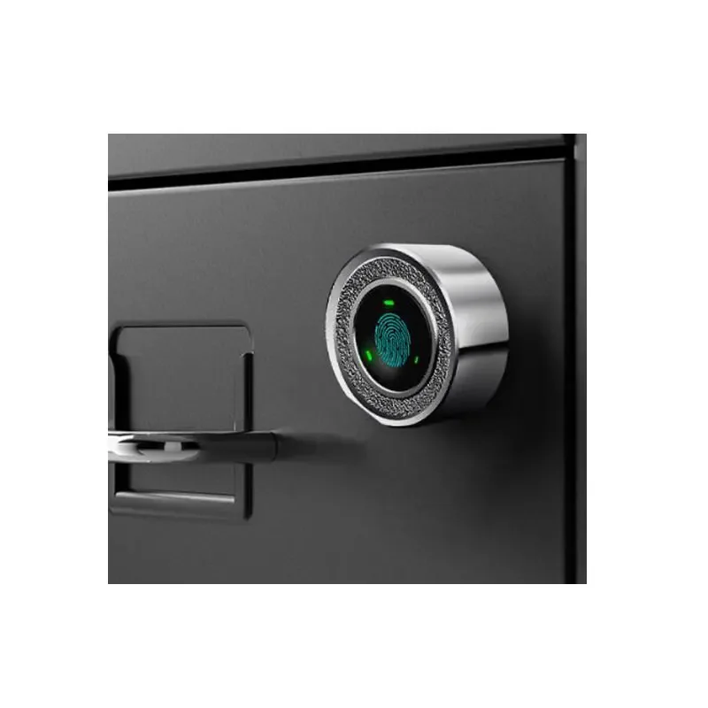 Alloy Smart Fingerprint Lock Drawer