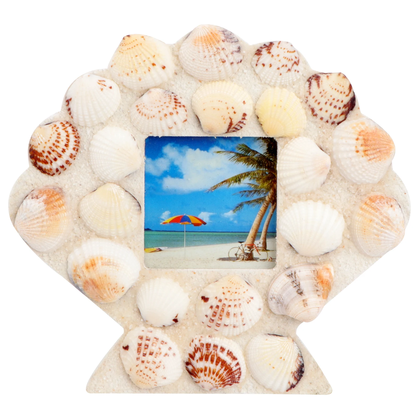 

Seashell Photo Creative Picture Holder Home Decor Desktop Unique Vintage Ocean Creative Photo Holder Style Shell Frame