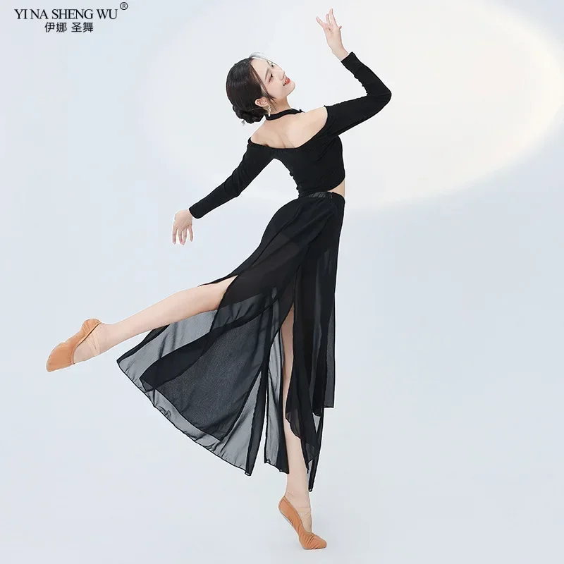 Classical Modern Dance Performance Costume Women Art Exam Training Suit Elastic Temperament Slim Fit Top Chiffon Skirt Set