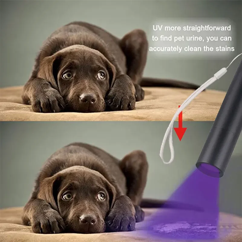 

UV Flashlight 365nm USB Type-C Rechargeable Black Light Aluminum Alloy Body USB Pet Skin Ringworm Detector Flashlights