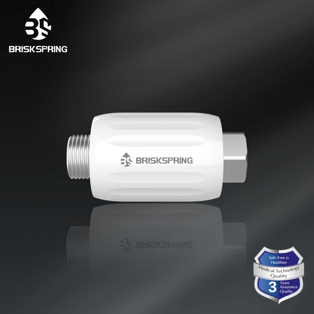 BriskSpring Salt Free Terminal Water Descaler Physical Scale Inhibitor G1/2