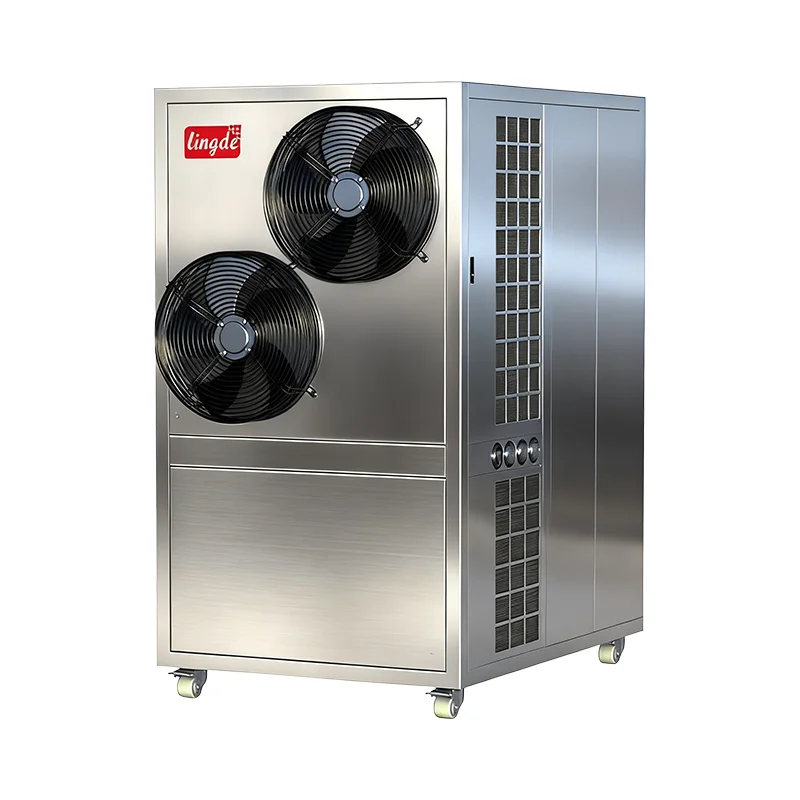 Lingde Industrial Fruit & Vegetable Dehydrator Machine with Heat Pump for Commercial Meat and Durian Drying (Stainless Steel)
