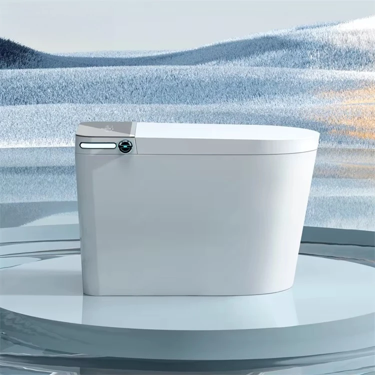 Intelligent Modern Home Bathroom Wc Bidet Toilet Instant-Heating Automatic Flush with Night Light Function White Smart Toilet