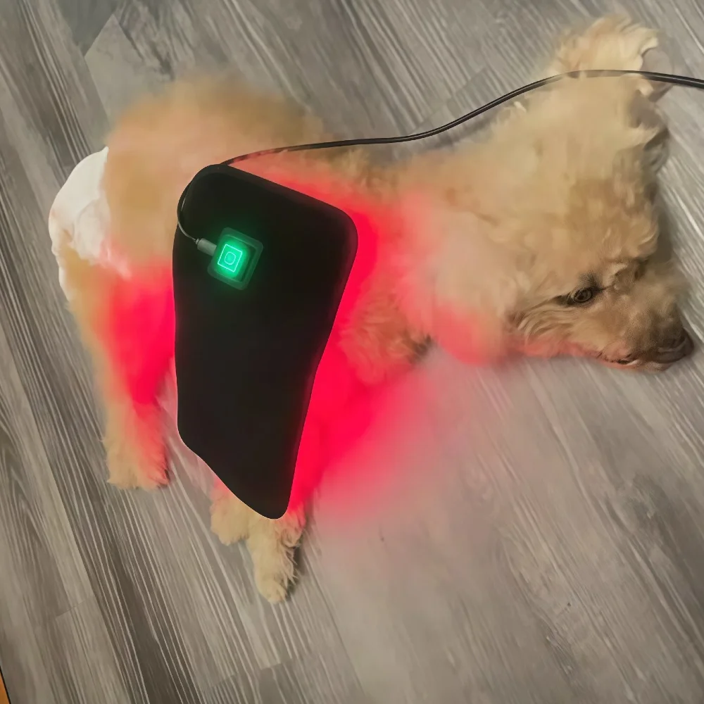 Portable Animal Healing Pad, Multi-Wave LLLT Device for Home Care of Post-Surgery Fracture, Arthritis and Joint Discomfort