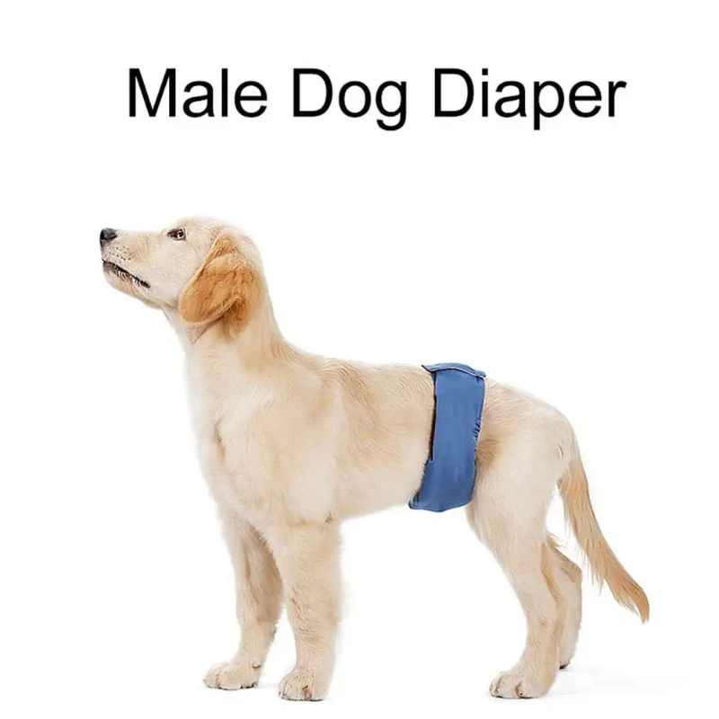 

Шорты для собак Teddy Golden Retriever, нижнее белье, многоразовые подгузники, подтягивающие штаны для собак, физиологический пояс для собак, штаны для гигиены домашних животных