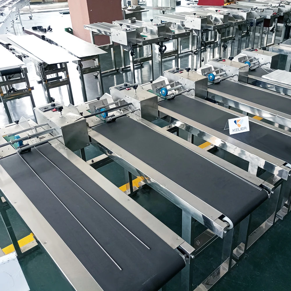 

Adjustable Speed Conveyor Automatic Paging Machine Type Plastic Bag Friction Feeder Belt