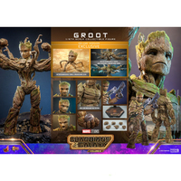 In Stock Hottoys MMS706 MMS707 Guardians of The Galaxy 3 Groot 1/6 Animation Action Figure Toy Gift Model Collection Hobby