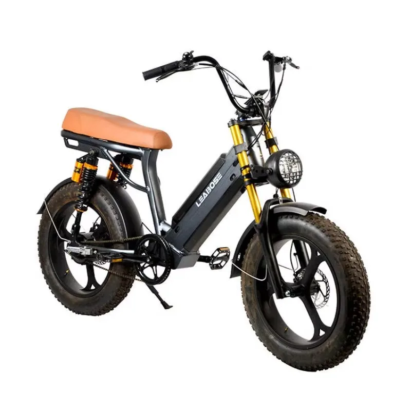 

STLF 20 Inch Big Tyre Fitness Outdoor 350W Electric Motor Bike Sport Utility Bicycle Sharing Aluminum 48V Electric Bike