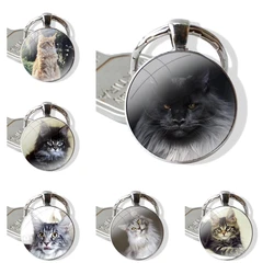 Portachiavi con ciondolo in metallo di vetro classico uomo donna portachiavi accessori gioielli regali pet maine coon cat