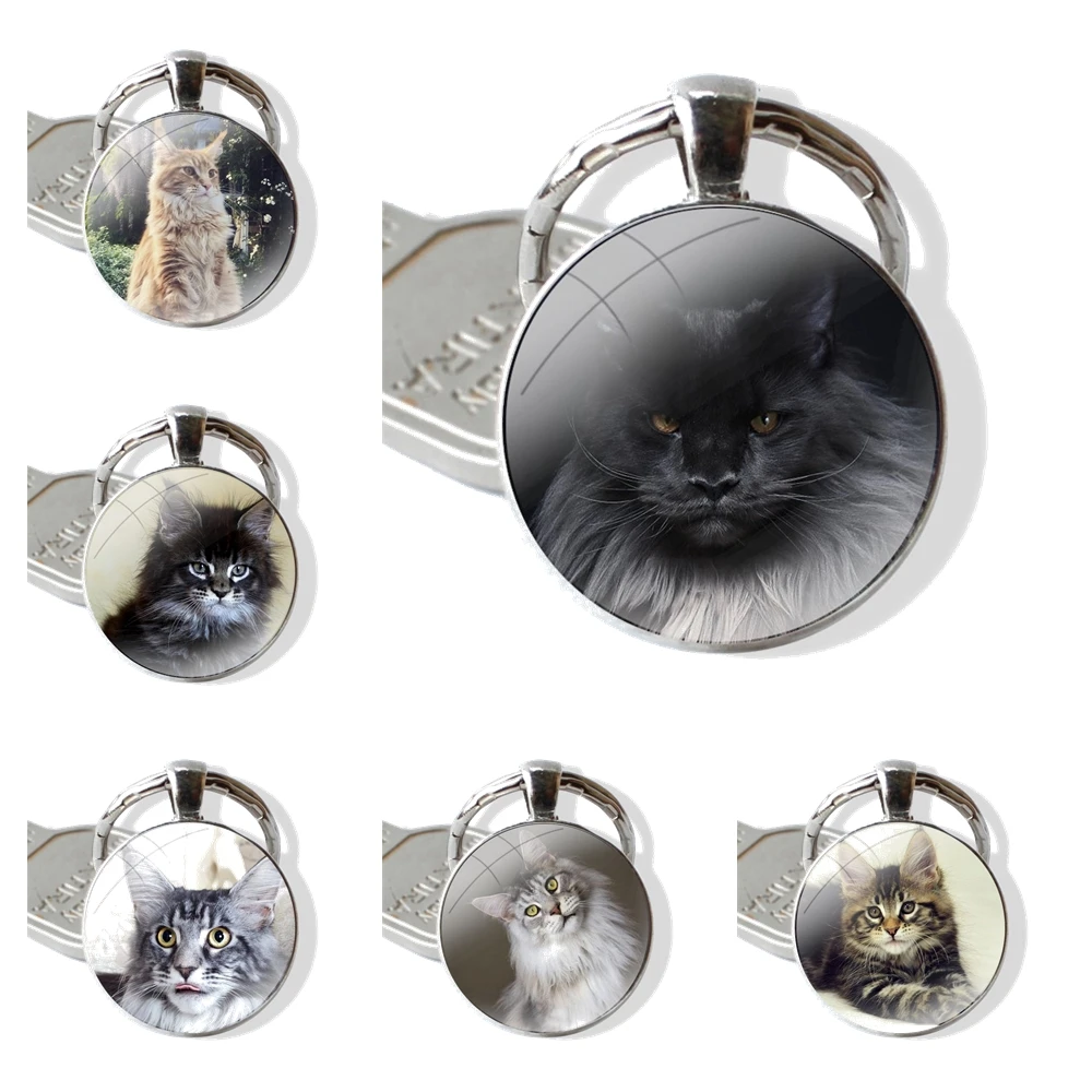 Glass Metal Pendant Key Chain Classic Men Women Key Ring Accessories Jewelry Gifts pet maine coon cat