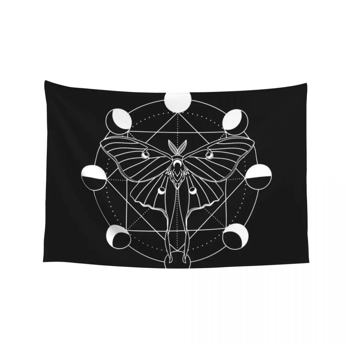 

Luna Moth Moon Phase Tapestry Decoration Wall Funny House Decorations Tapestry