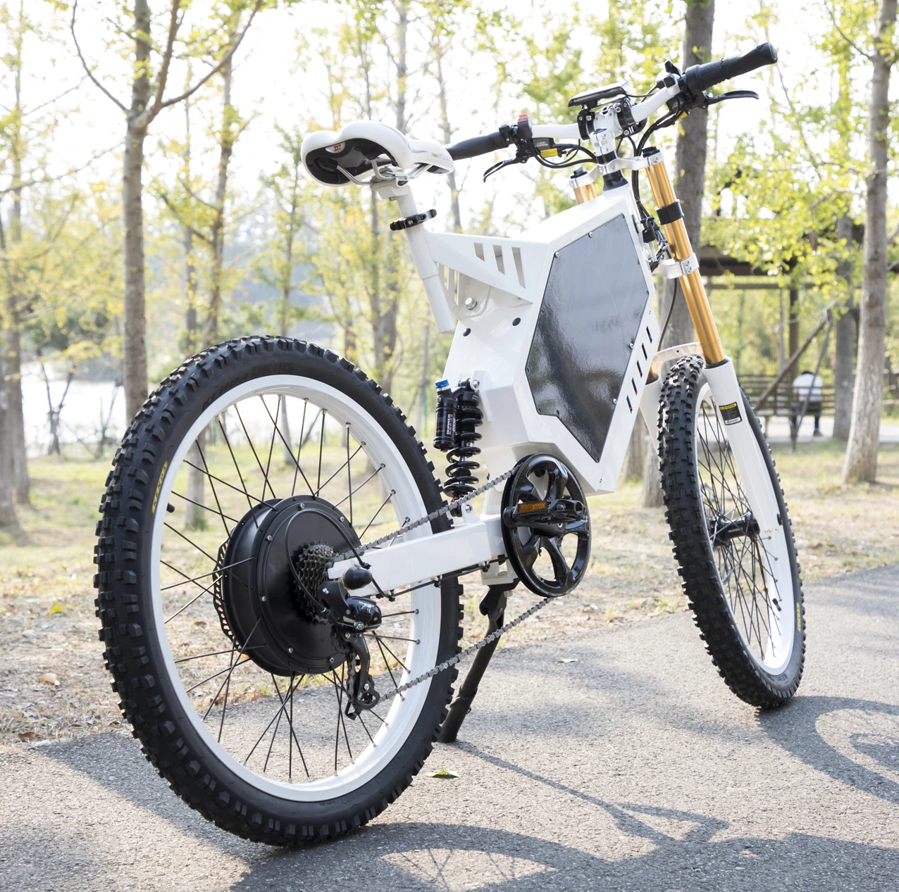 48v 200w 3000w 5000w Fastest China Cheap Full Suspension  E Bike Ebike Dirt Mountain Fat Tire Bicycle Electric Bike