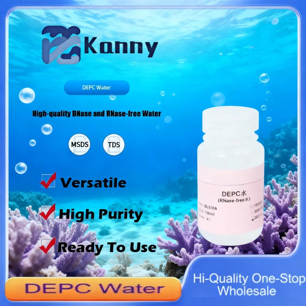 DEPC Water DNase RNase-Free Water for RNA Reverse Transcription and siRNA Annealing Applications Original Product