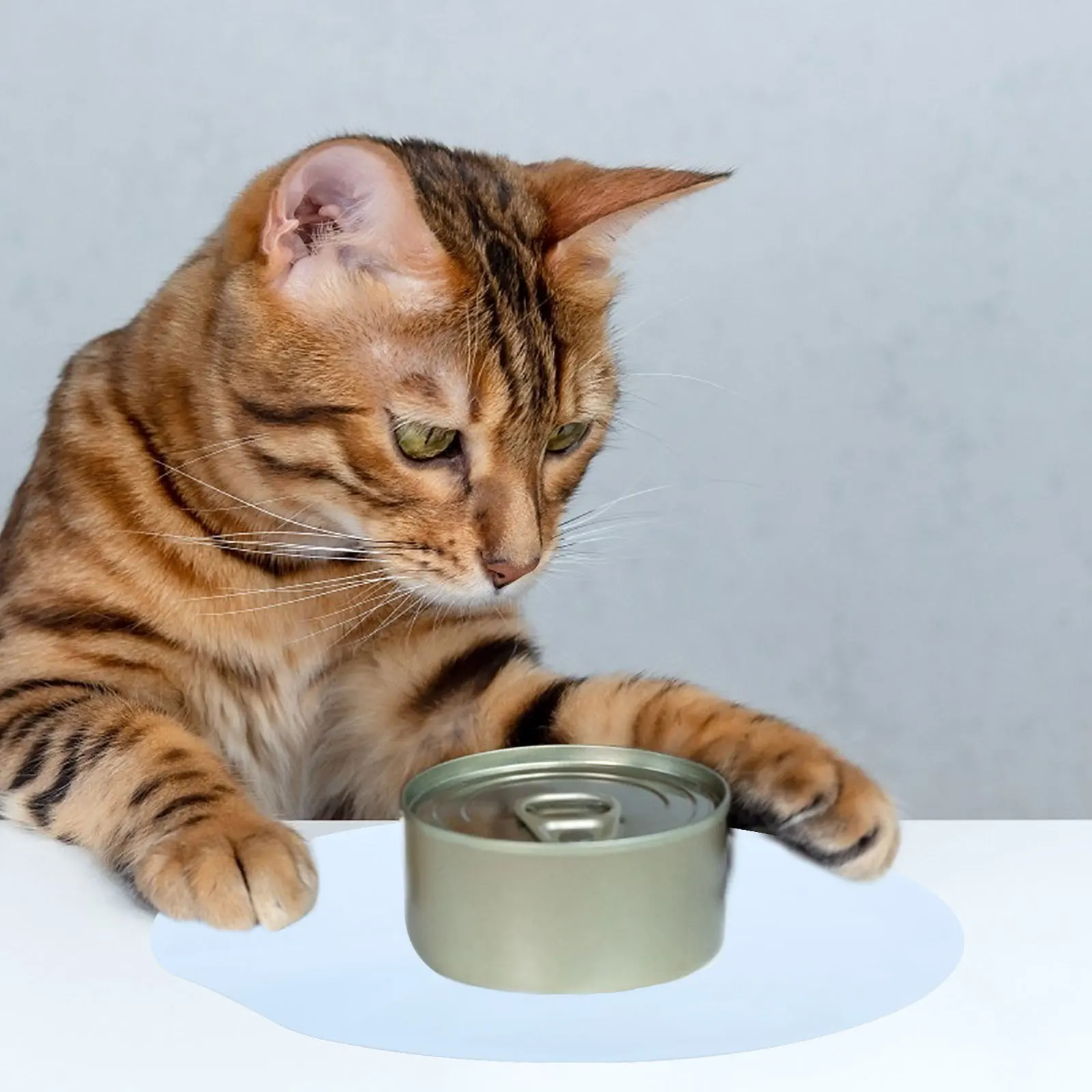 

1Pcs Anti-Spill Pet Food Mat Durable Silicone Cat Dog Feeding Placemat Non-Skid Heat Resistant Floor Mat Easy Clean