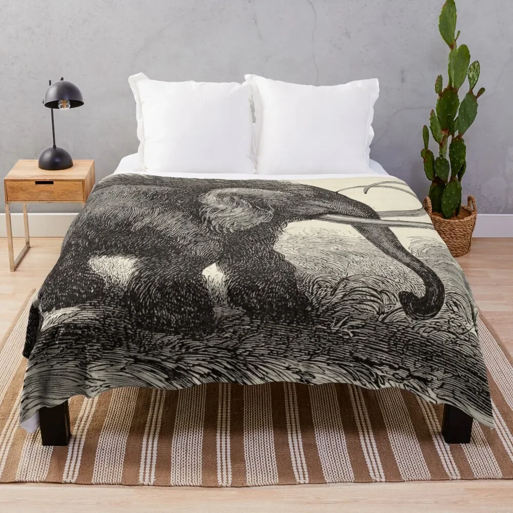 

Jean Gauchard - Woolly Mammoth engraving Throw Blanket Winter beds Bed Fashionable Blankets