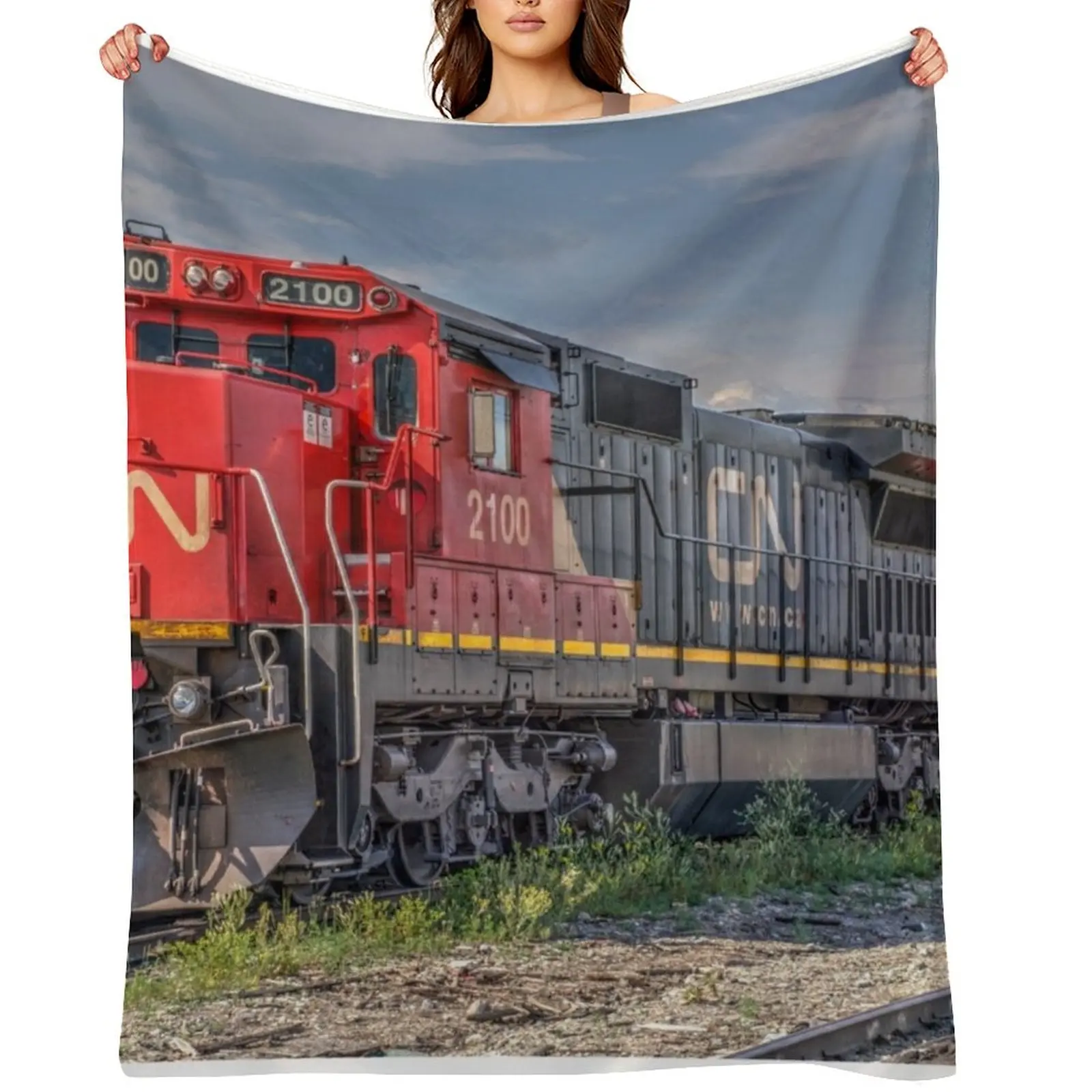 

Canadian Freight Power Throw Blanket For Decorative Sofa decorative halloween Luxury Thicken Blankets