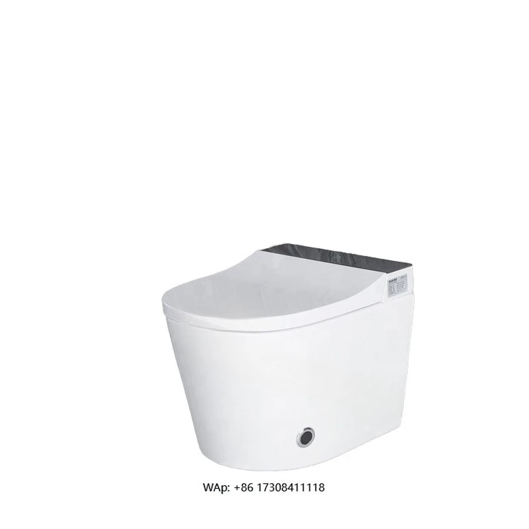 

European Standard Intelligent Smart Toilet Wall-Mounted Elongated Bowl Ceramic Gravity Flushing Remote Control Included Heated