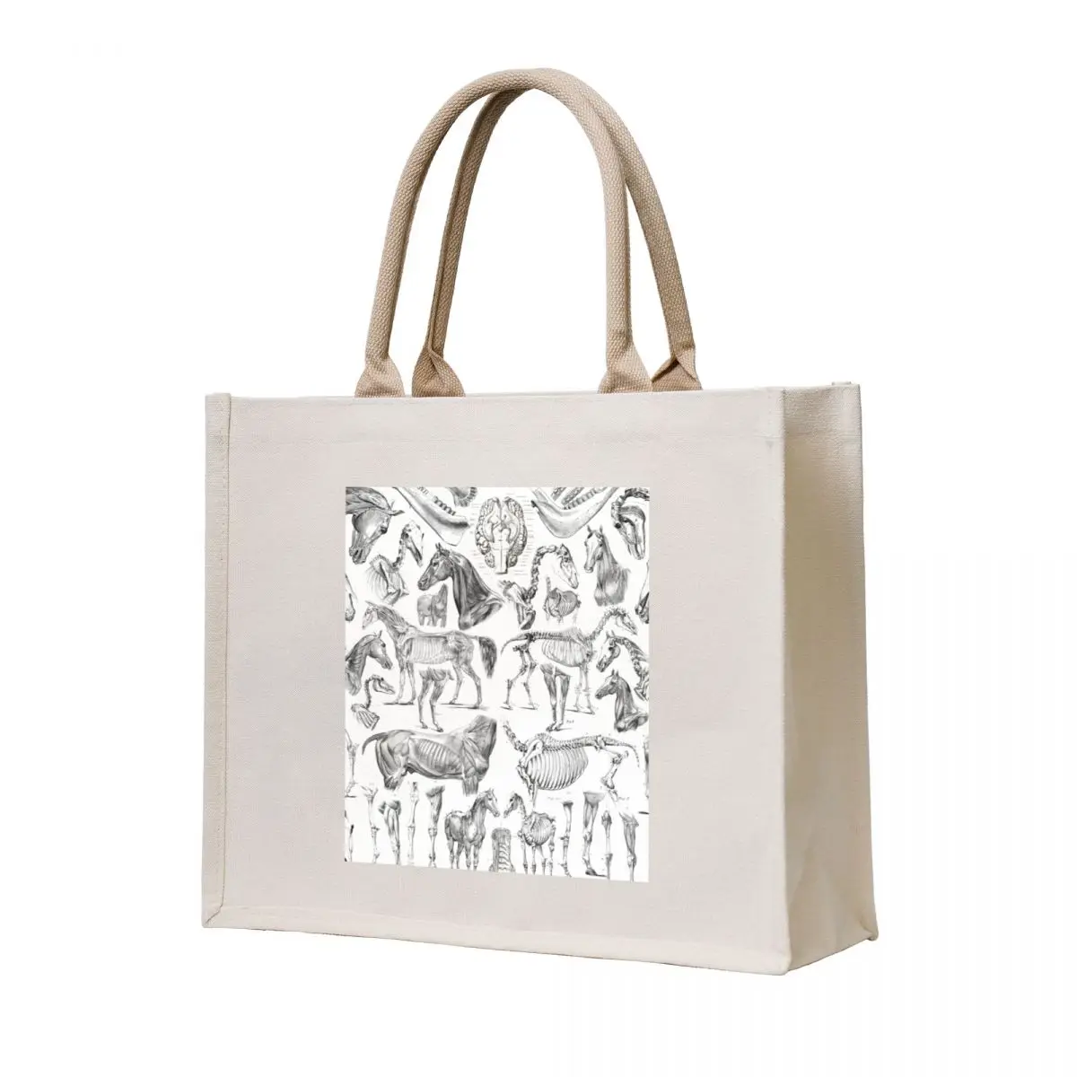 

Horse Anatomy (black on white) Tote Bag tote bags aesthetic Gift bags large size bags reusable shopping
