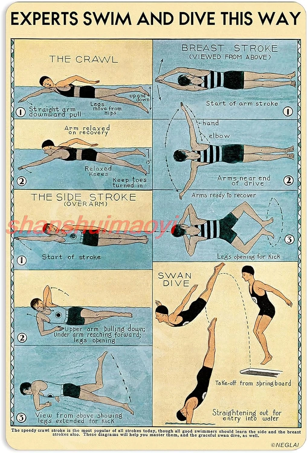 Experts Swim And Dive This Way Knowledge Metal Signs Poster, Vintage Decorations Wall Art Decor 16x12 Inches KMN