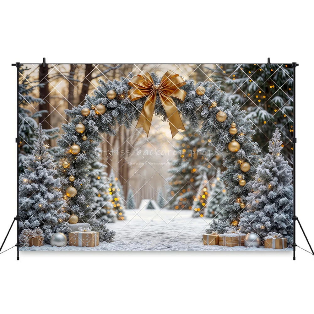 Winter Christmas Atmosphere Windows Photography Background Merry Christmas Glow Christmas Little Studio Backdrops AG-22