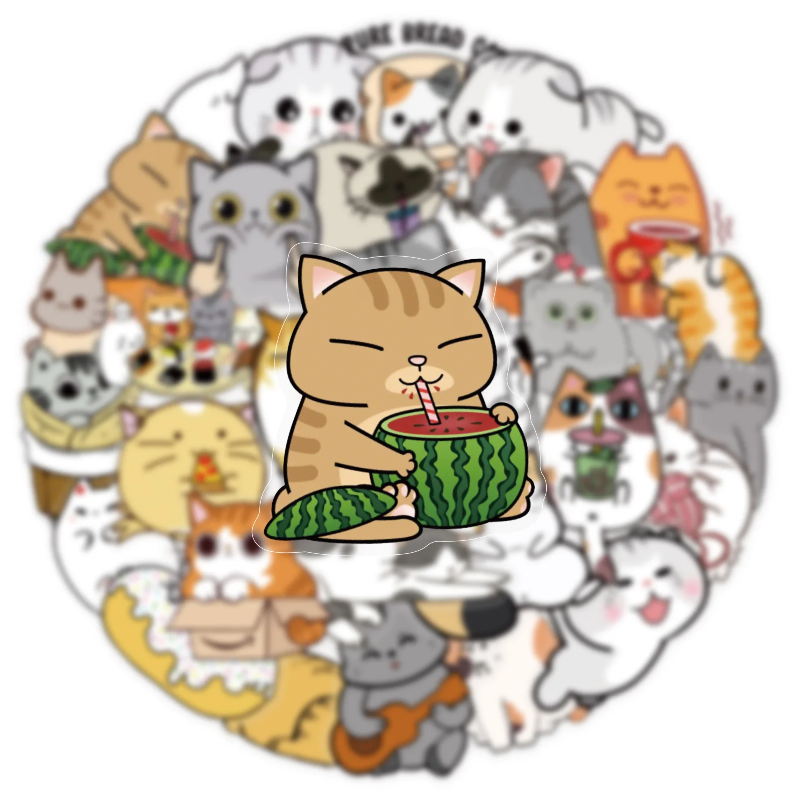 50 pezzi simpatico gatto graffiti adesivo cartone animato divertente gattino trasparente decalcomania giocattolo per bambini regalo tazza d'acqua fai da te cassa del telefono diario scrapbook