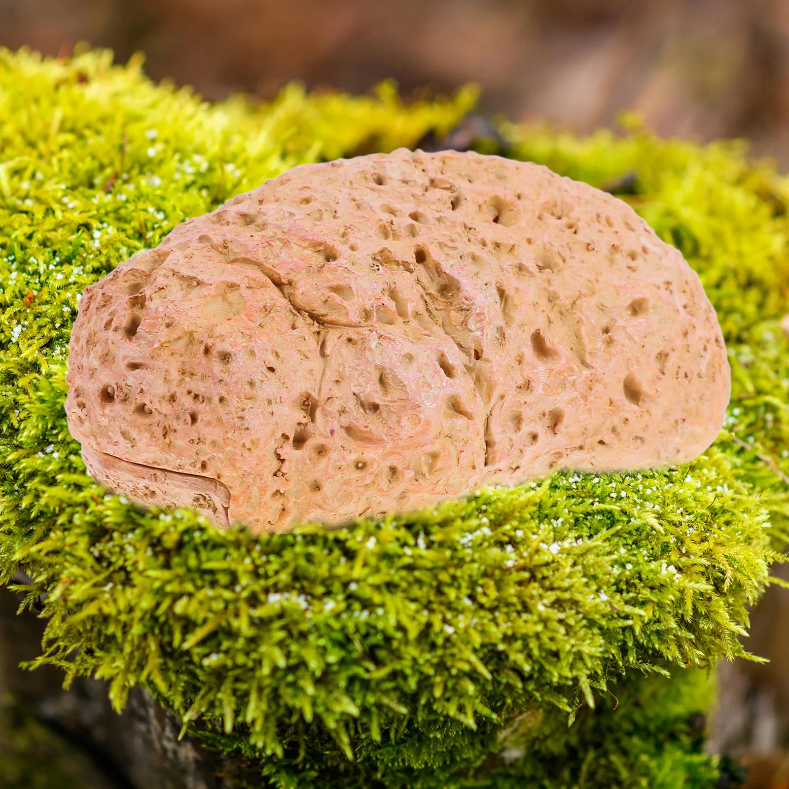 وهمية روك مفتاح المخفي في الهواء الطلق المخفية حجر مفتاح حامل الراتنج مقاوم للماء حديقة ديكور سر آمن تخزين المخففات في الخارج #6