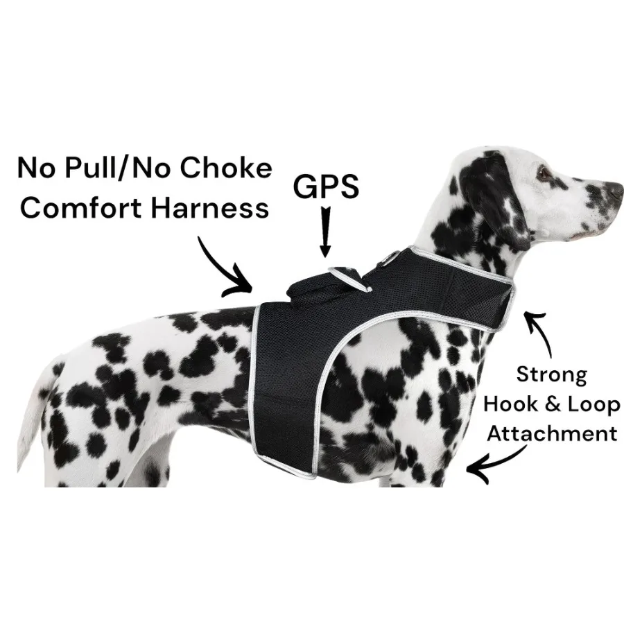 Realtime Water Resilient Adjustable Cat Tracking Collar Mounted GPS Pet Locator Size:XL