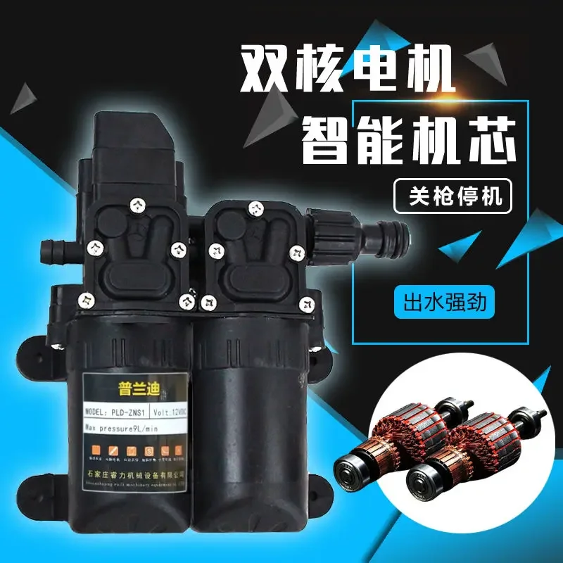 Double Copper Motor  12V High-Voltage Car Wash Machine Household 220V Car Wash Pump High-Pressure Car Wash Water Gun