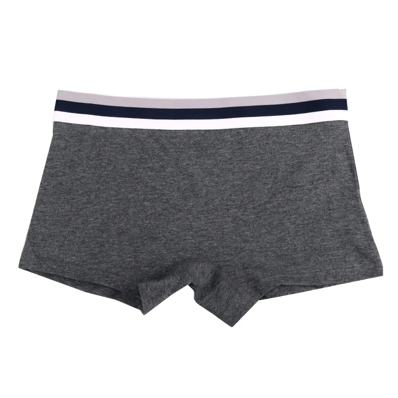 HaleyChan Womens Sports Cotton Lingerie 1 Pc Boxer Briefs for women Tomboy Trans Lesbian Transgender Ftm Underwear Women Panties