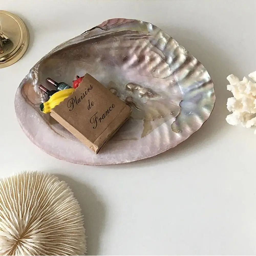 

Useful Shell Shape Decorative Pretty Multifunctional Home Decor Storage Holder Storage Container Art Craft Jewelry Storage Tray