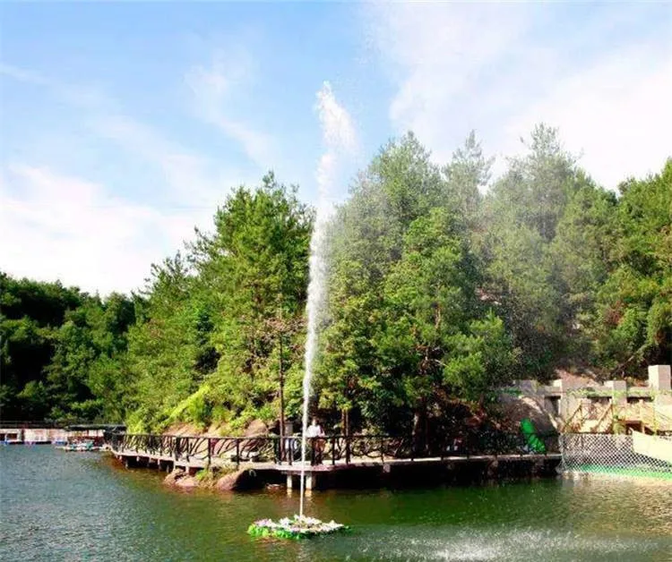 

High Shoot Fountain Floating Fountain