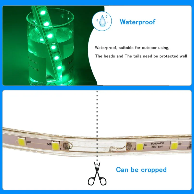 LED Strip Lights SMD 5050 AC220V Flexible 60leds/m LED Light Waterproof Led Tape With Power 1M/2M/3M/5M/6M/8M/9M/10M/15M/20M/30M