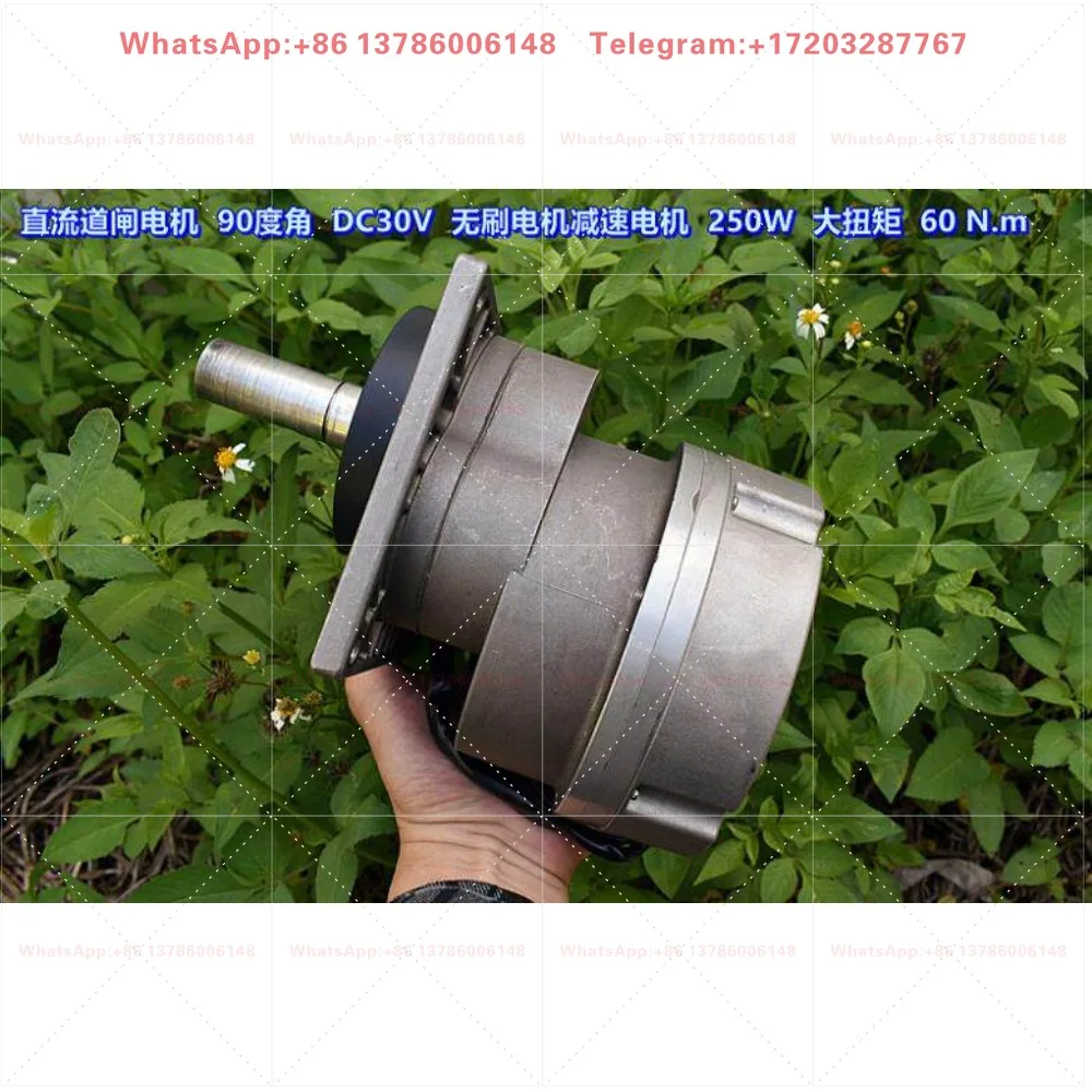 DC barrier 90 degree angle, brushless geared motor 250W high power 60.N.m (a complete set)